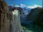 black_narcissus.jpg