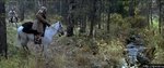 3039_1.jpg
