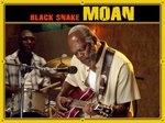 Black_Snake_Moan_3.jpg