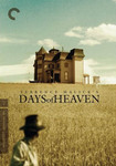 DAYS OF HEAVEN.jpg