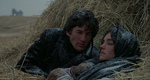 DAYS OF HEAVEN Q.jpg