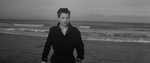 LES QUATRE CENTS COUPSA.jpg