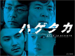 NHK_hagetaka.jpg